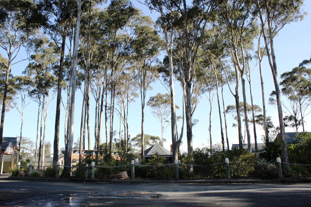 Waverley House Cottages Lakes Entrance Exteriér fotografie